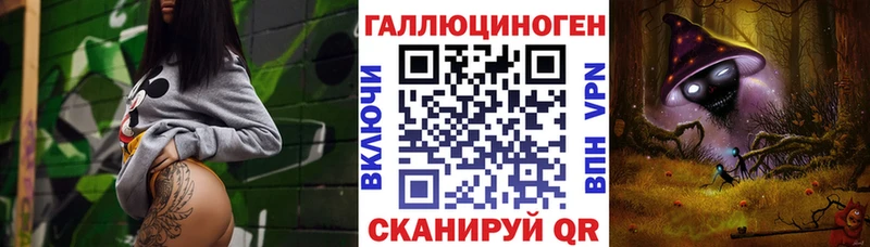 Псилоцибиновые грибы Psilocybe  Купить закладки  Кандалакша 